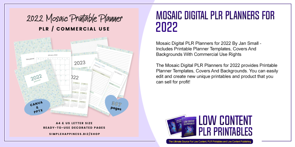 Deluxe Canva Template PLR Bundle PLR Printable Canva Bundle