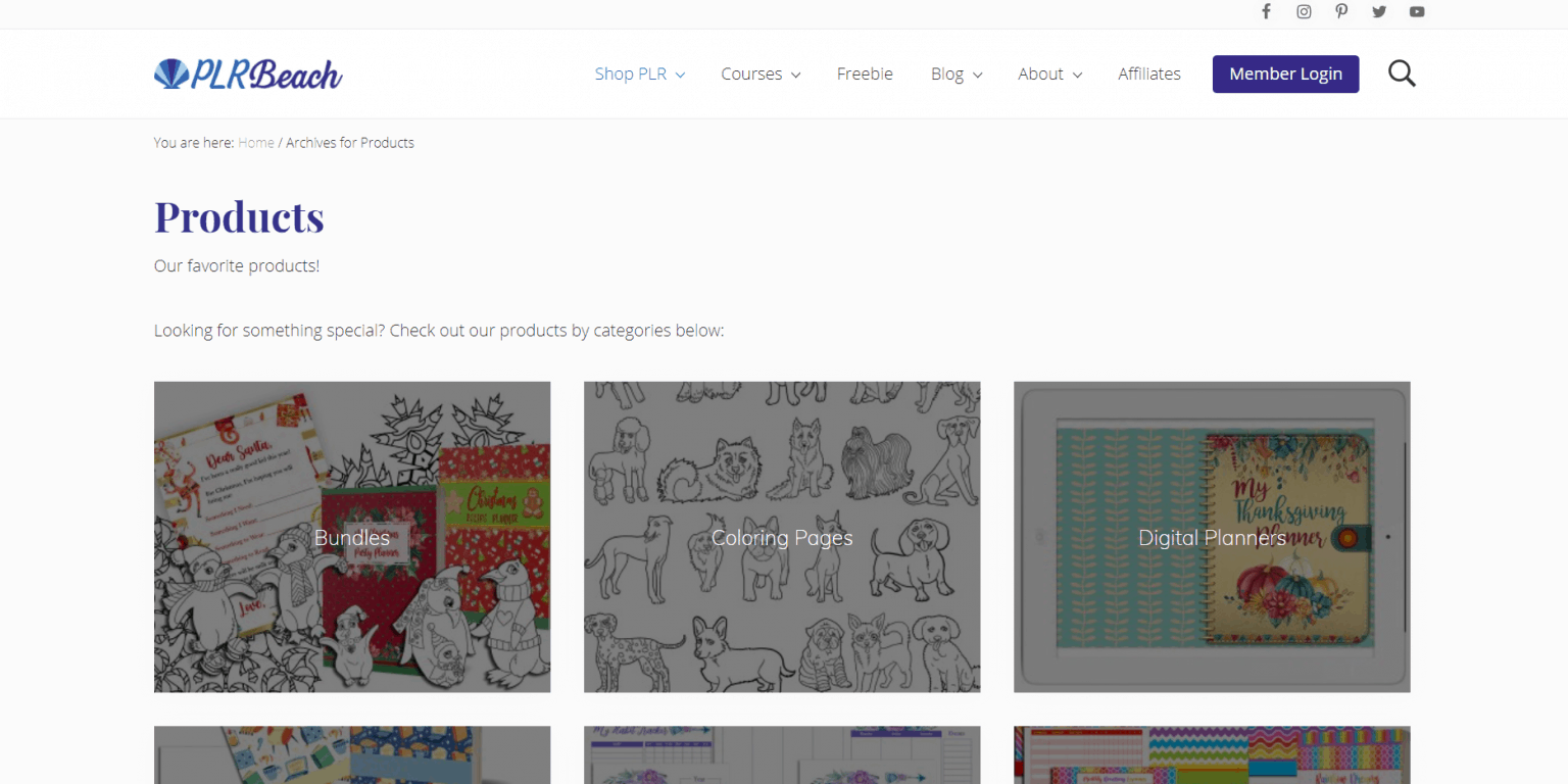 The Best PLR Printable Sites | Low Content PLR Printable Stores