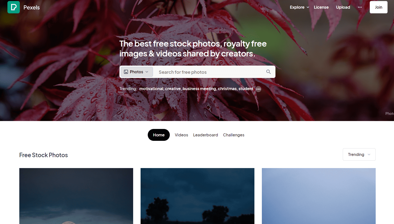 Best Free Stock Photo Sites for Commercial Use Pexels