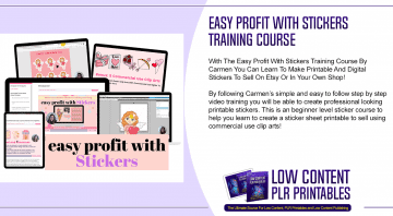 Easy Profit With Stickers Training Course