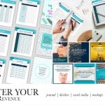 Master Your Revenue Business Expense and Financial PLR Tracker