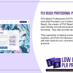 PLR Beach Professional PLR Printables Shop