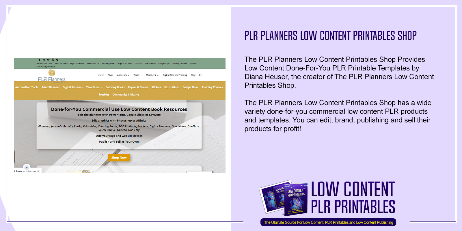 PLR Planners Low Content Printables Shop