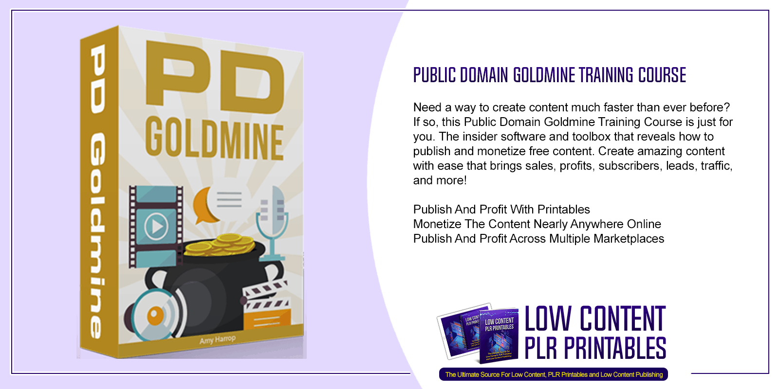 Public Domain Goldmine Training Course