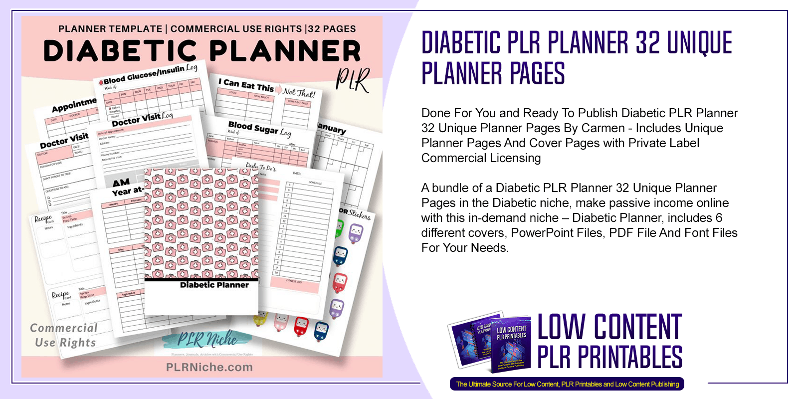 Diabetic PLR Planner 32 Unique Planner Pages