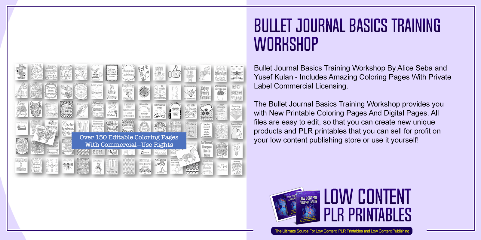 Bullet Journal Basics Training Workshop