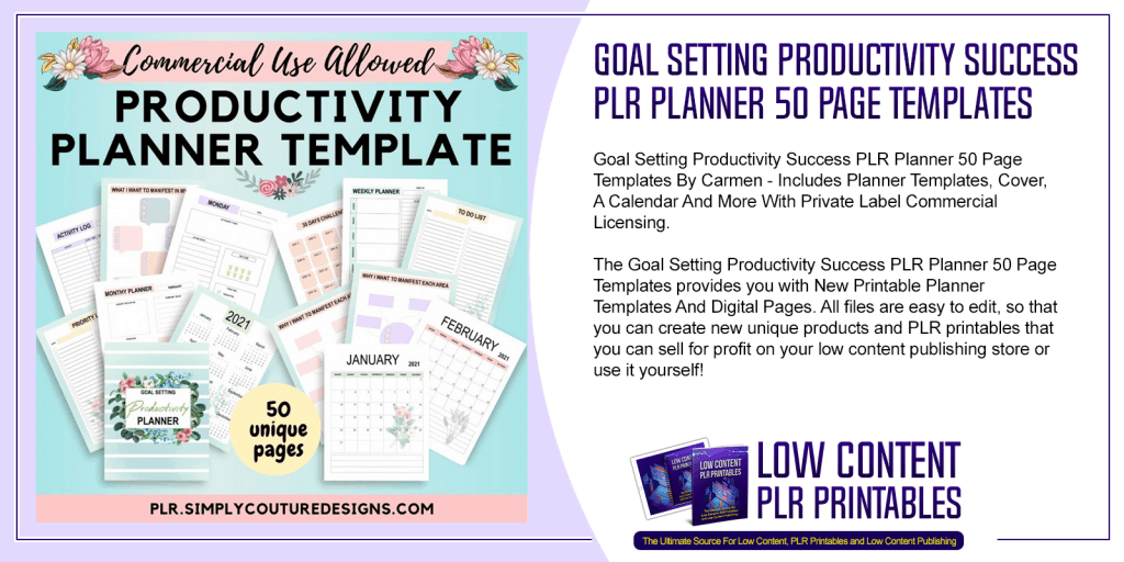 Goal Setting Productivity Success PLR Planner 50 Page Templates