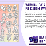 Whimsical Owls 30 Handdrawn PLR Coloring Images