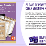 21 Days of Power Purpose and Clear Vision DFY PLR Journal 1