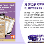 21 Days of Power Purpose and Clear Vision DFY PLR Journal