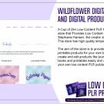 Wildflower Digitals PLR Printables and Digital Products