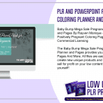 PLR and PowerPoint for Beginners Video Training Course