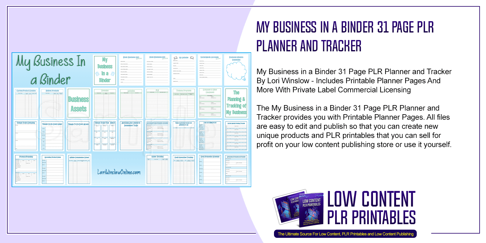 My Business in a Binder 31 Page PLR Planner and Tracker