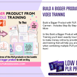 Build a Bigger Product with PLR 2 Hours Video Training