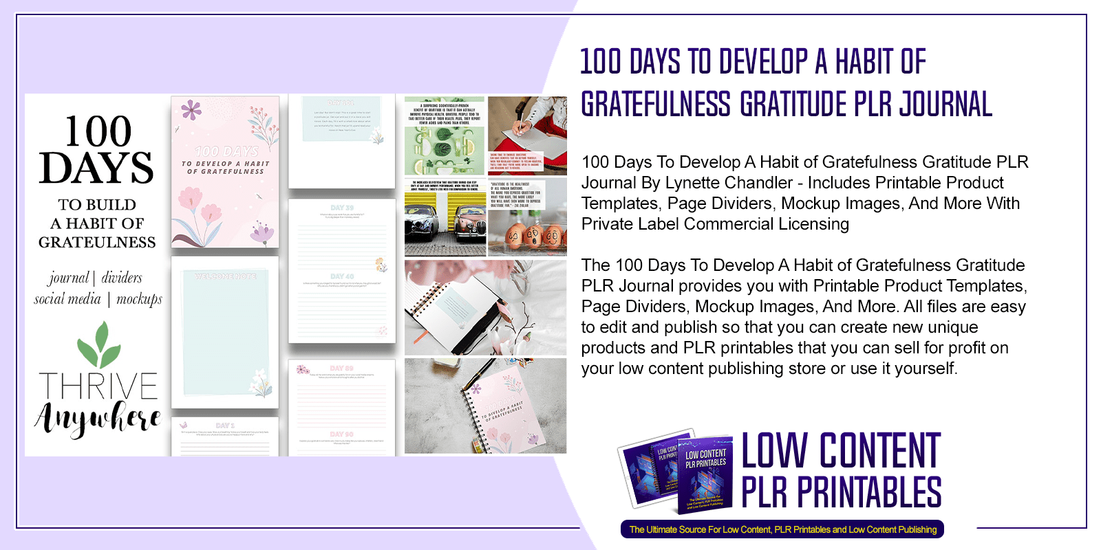100 Days To Develop A Habit of Gratefulness Gratitude PLR Journal