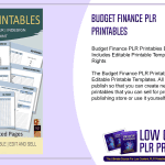 Budget Finance PLR Printables