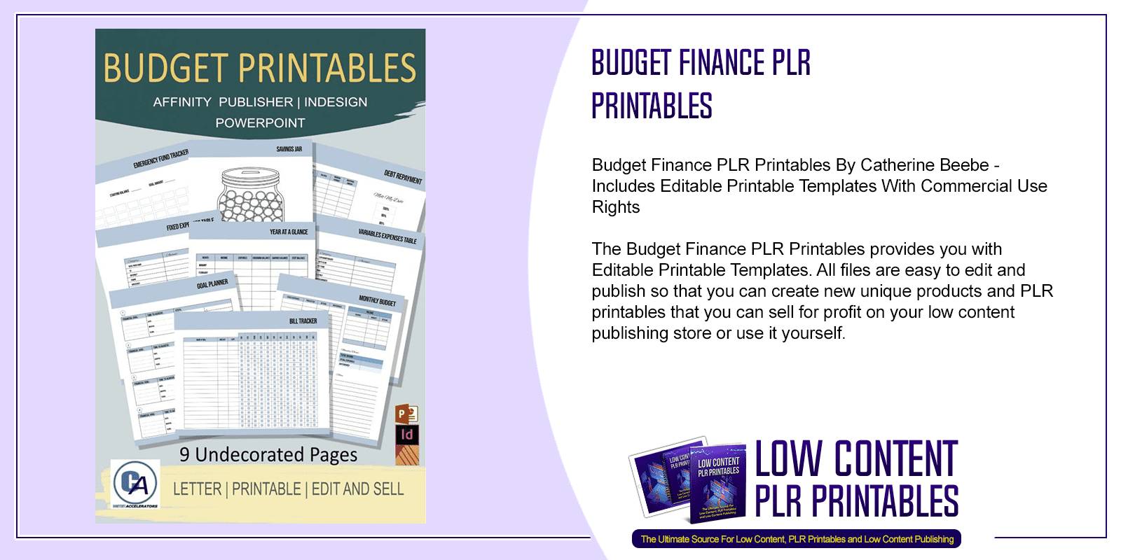 Budget Finance PLR Printables