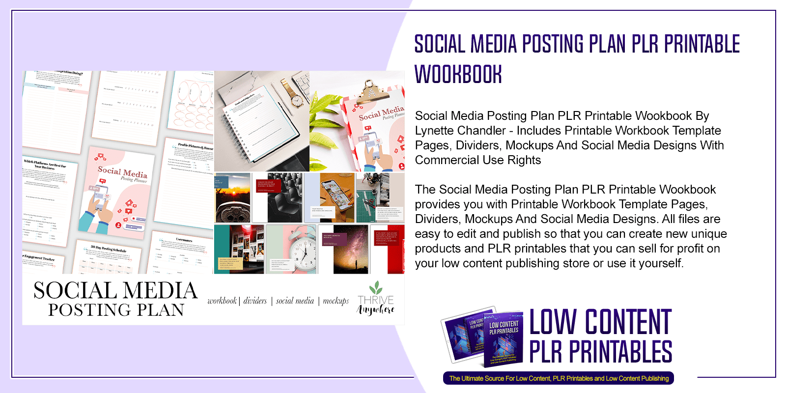 Social Media Posting Plan PLR Printable Wookbook