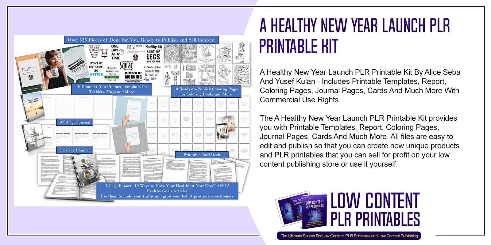 A Healthy New Year Launch PLR Printable Kit