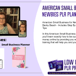 American Small Business for Newbies PLR Planner