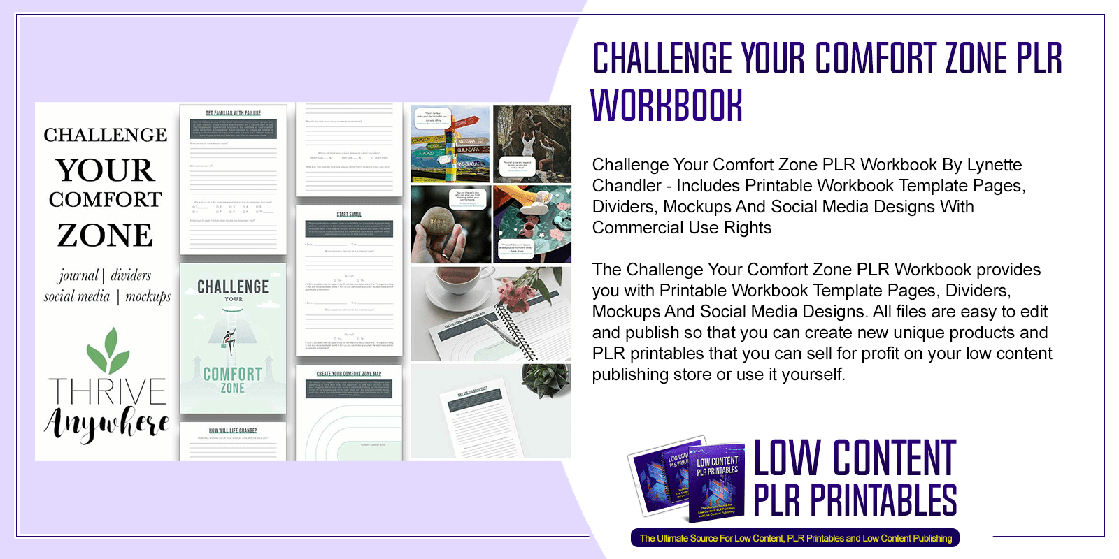 Challenge Your Comfort Zone PLR Workbook