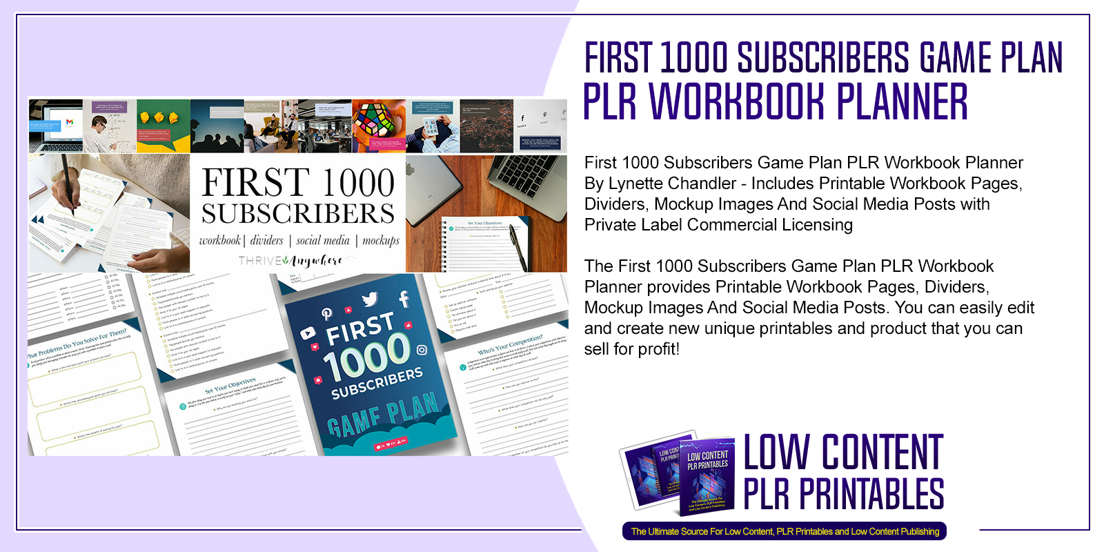 First 1000 Subscribers Game Plan PLR Workbook Planners