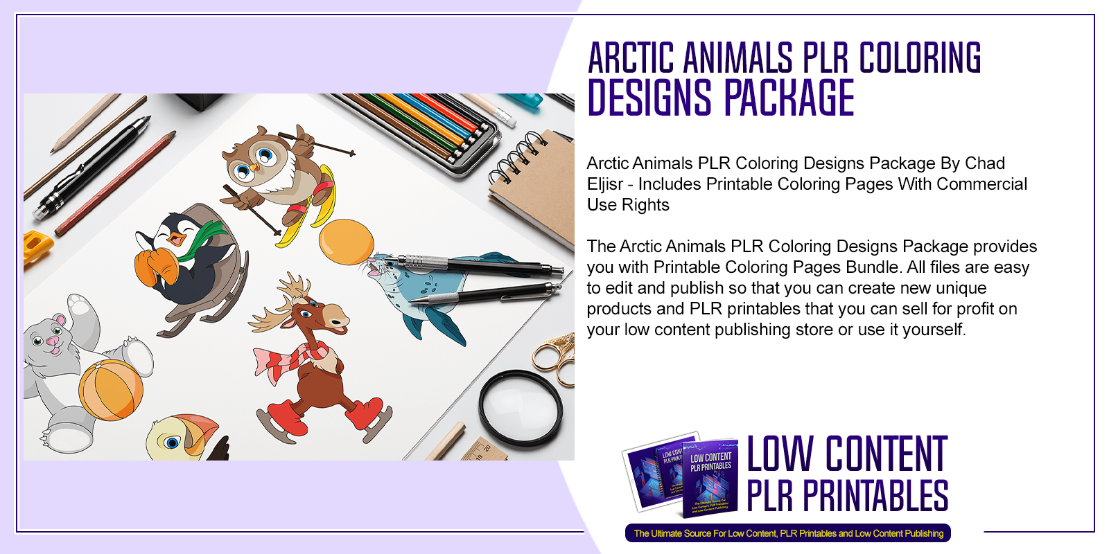 Arctic Animals PLR Coloring Designs Package