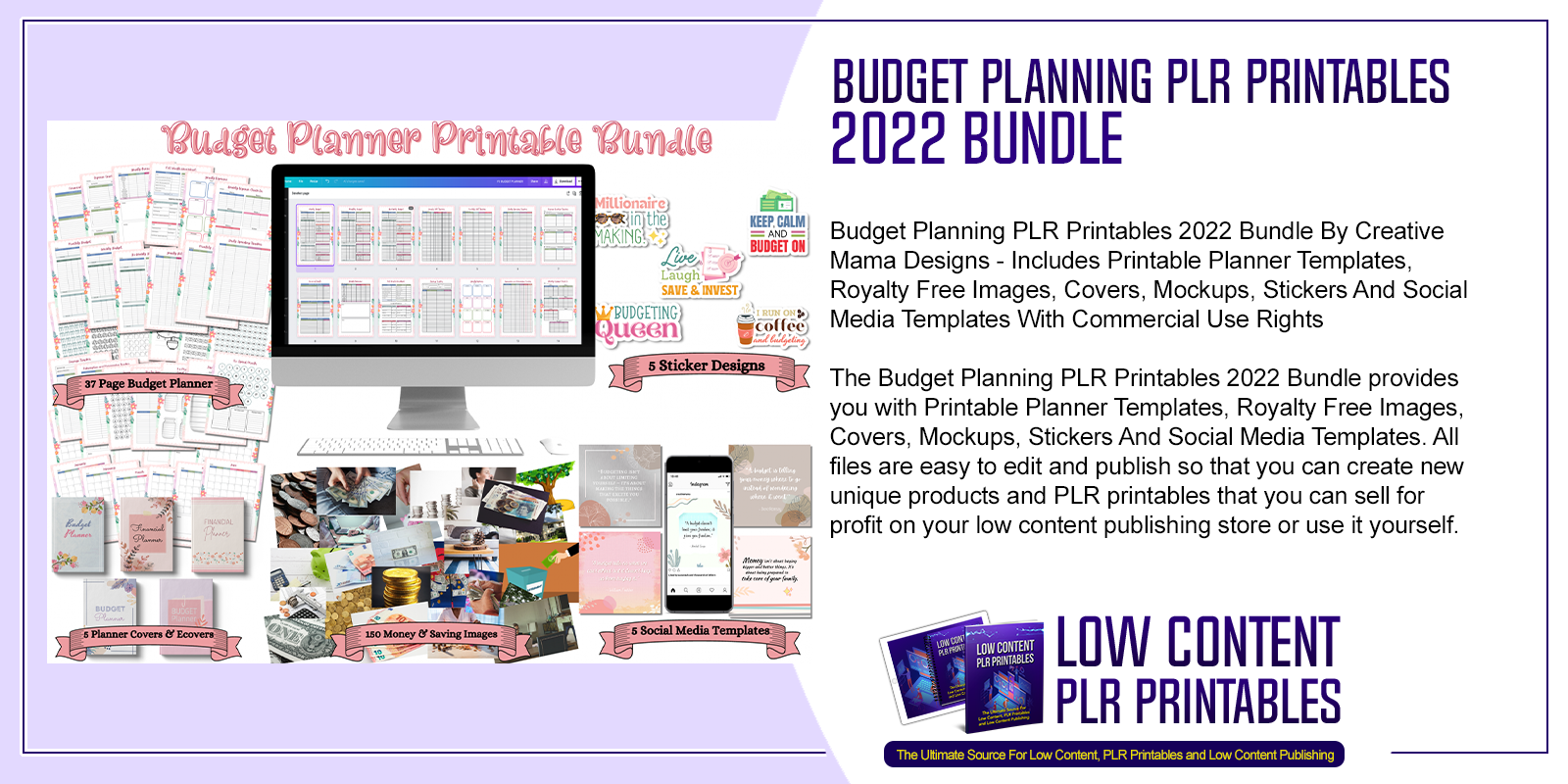 Budget Planning PLR Printables 2022 Bundle