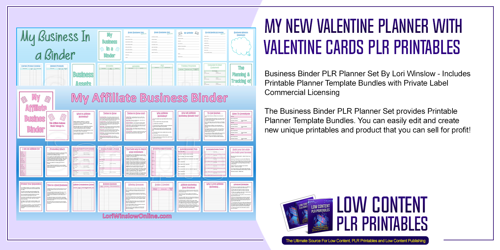 Business Binder PLR Planner Set