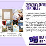 Emergency Preparedness Plan PLR Printables