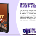 Print on Demand PLR Mini Summit Playbook Video Training