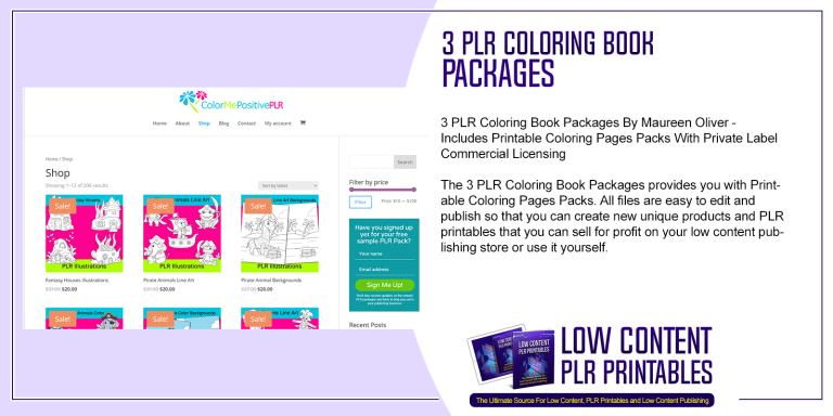 Budget PLR Printable Planner and Tracker | PLR Printable Planner
