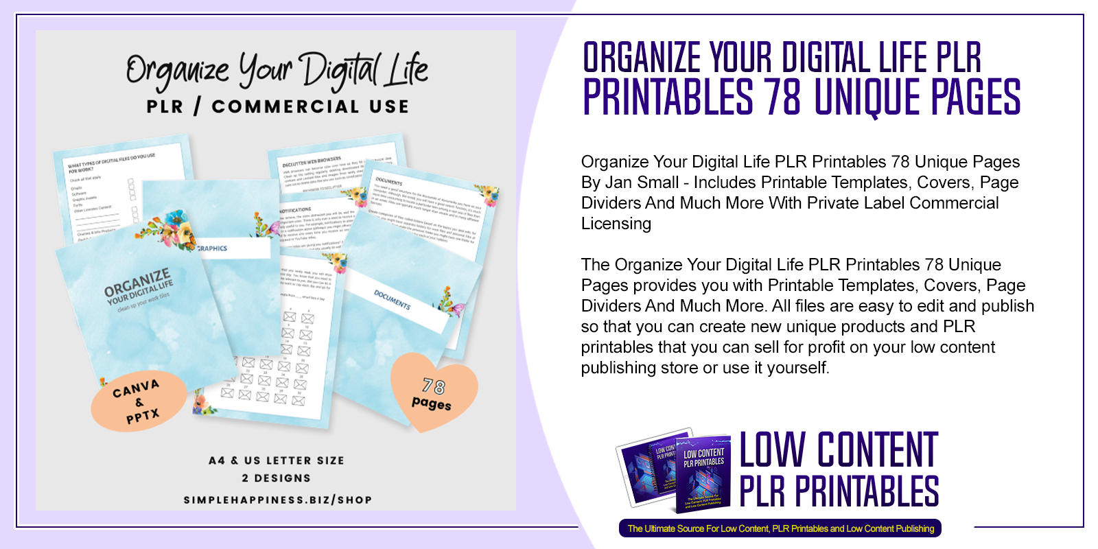 Organize Your Digital Life PLR Printables 78 Unique Pages