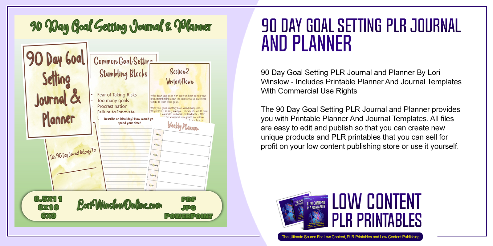 90 Day Goal Setting PLR Journal and Planner