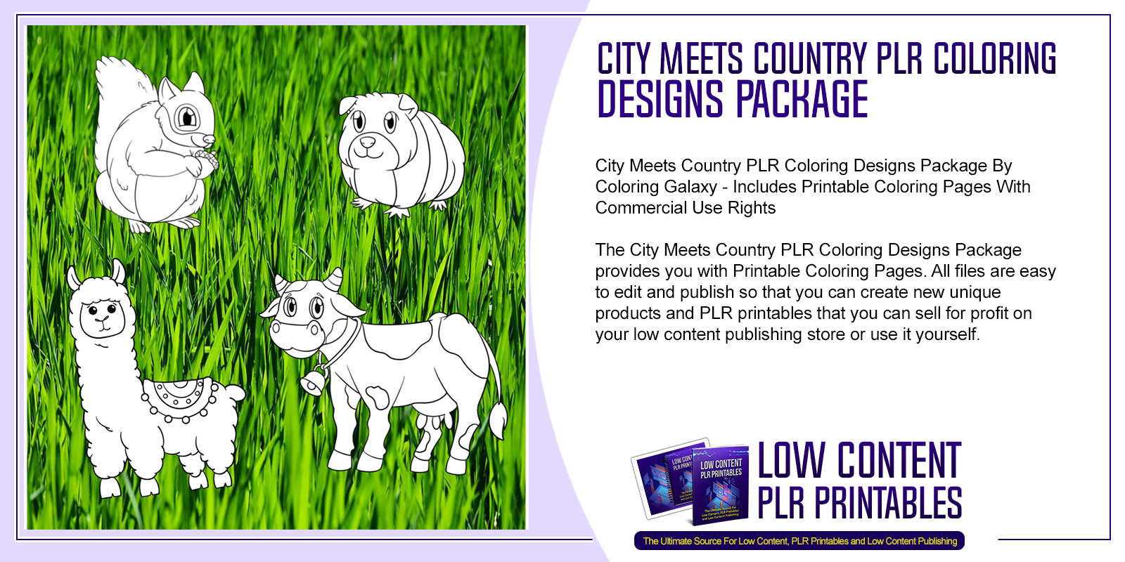 City Meets Country PLR Coloring Designs Package