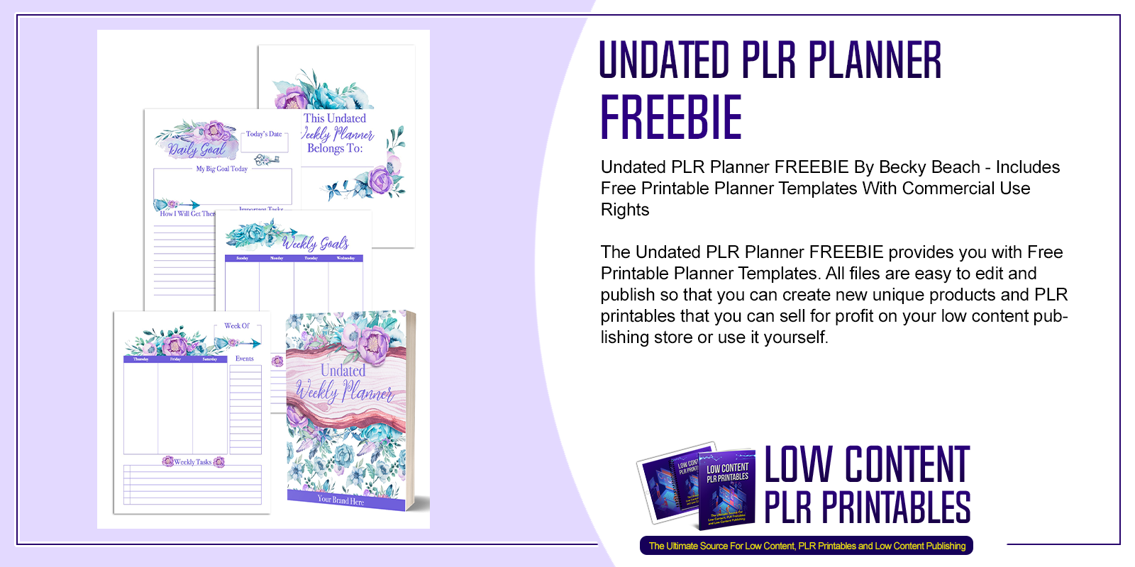 Undated PLR Planner FREEBIE