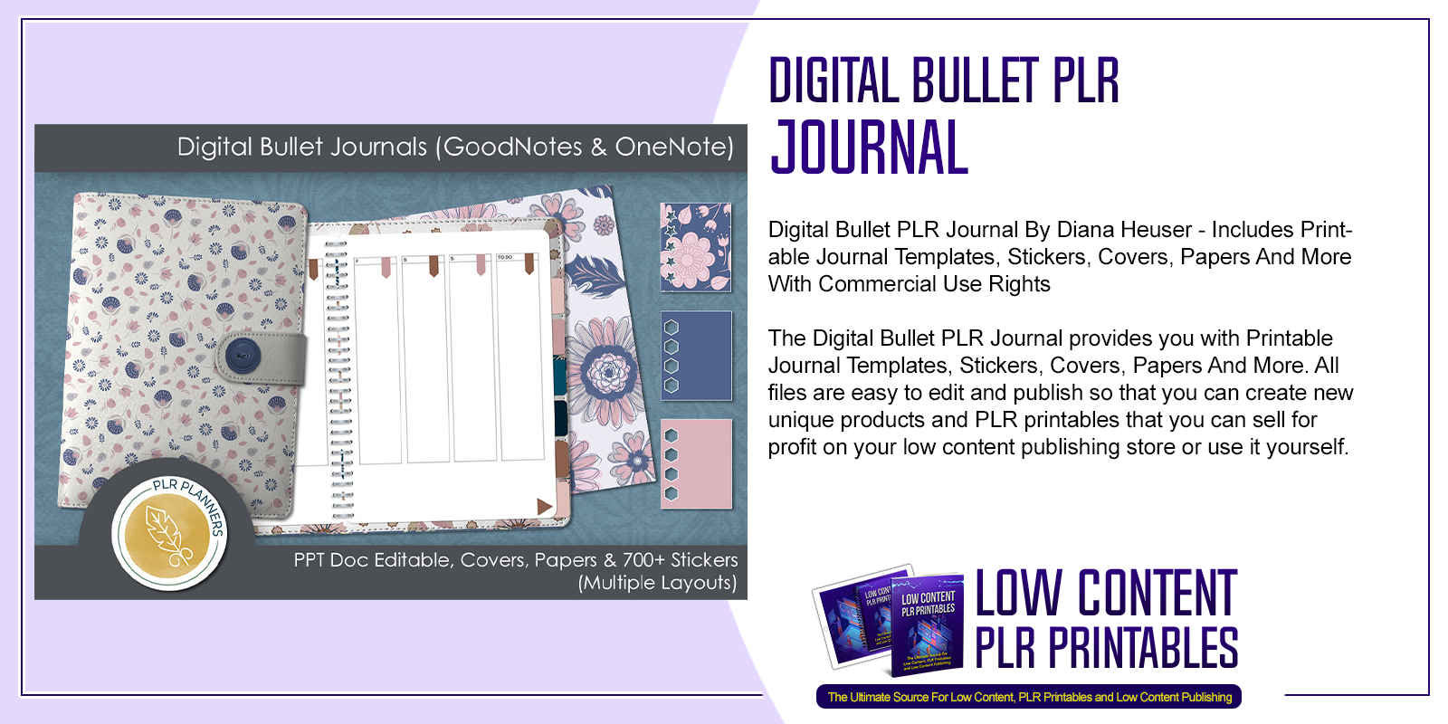 Digital Bullet PLR Journal