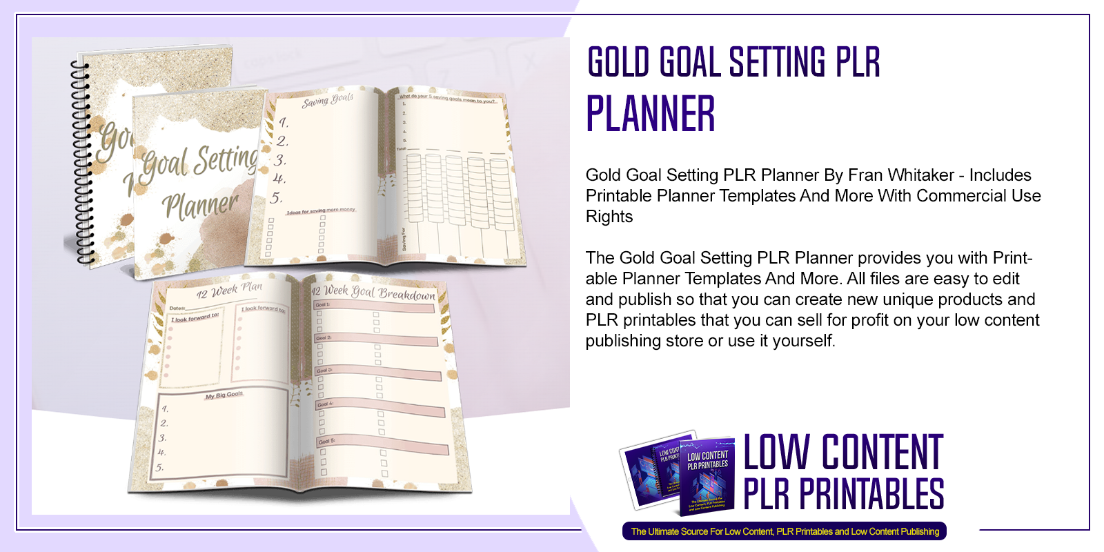 Gold Goal Setting PLR Planner