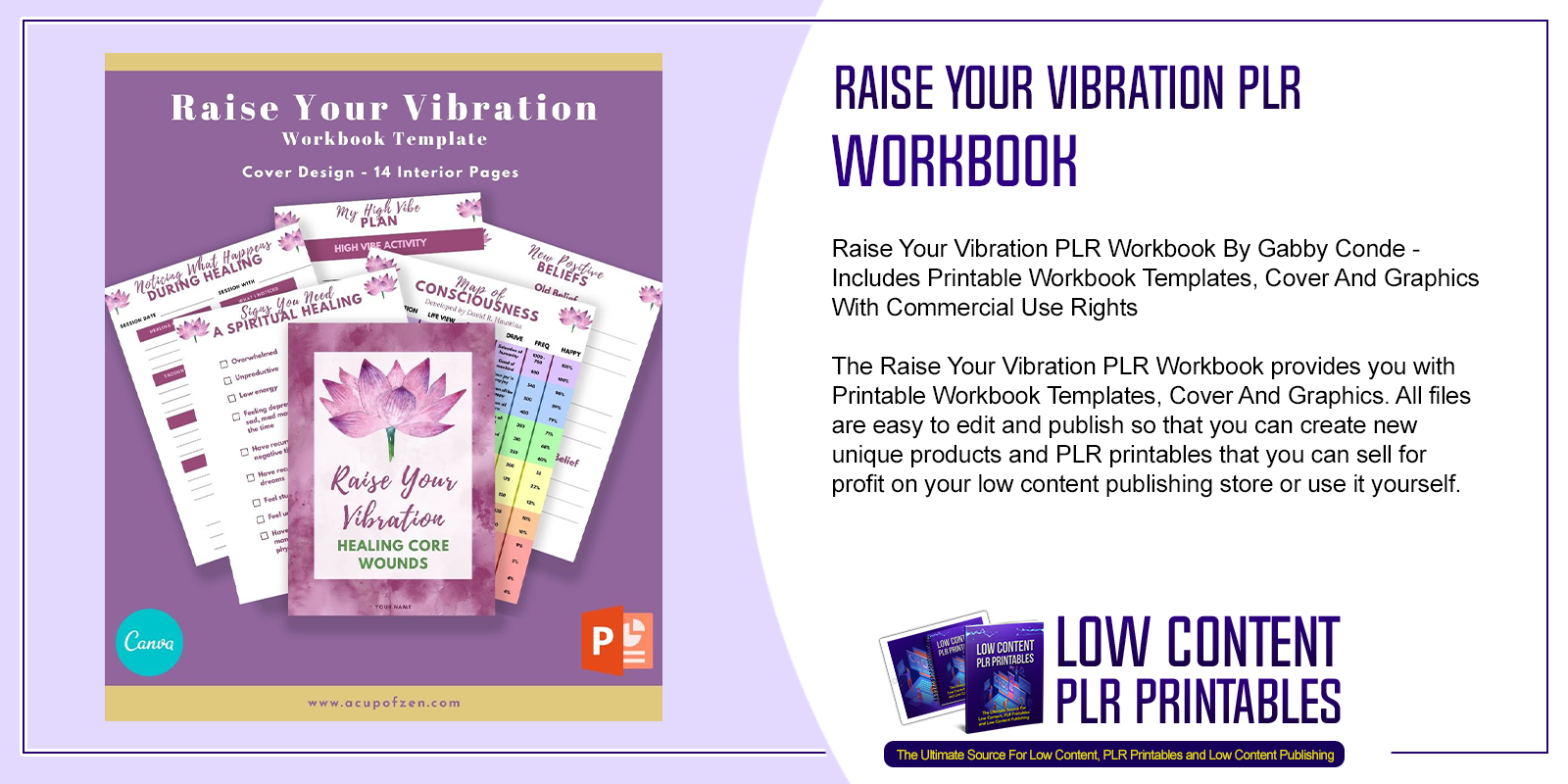 Raise Your Vibration PLR Workbook