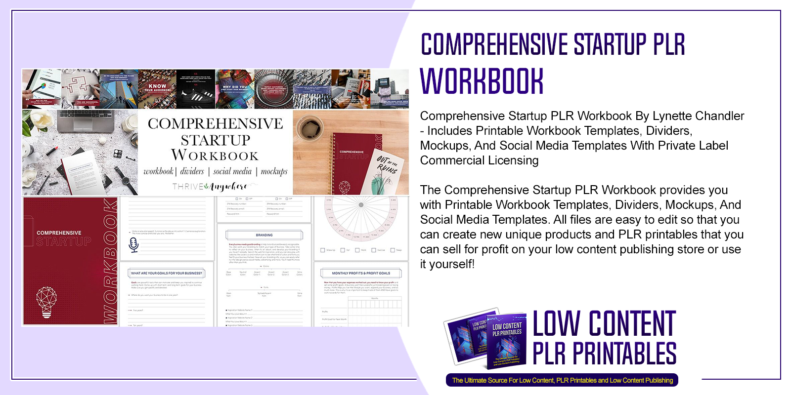 Comprehensive Startup PLR Workbook
