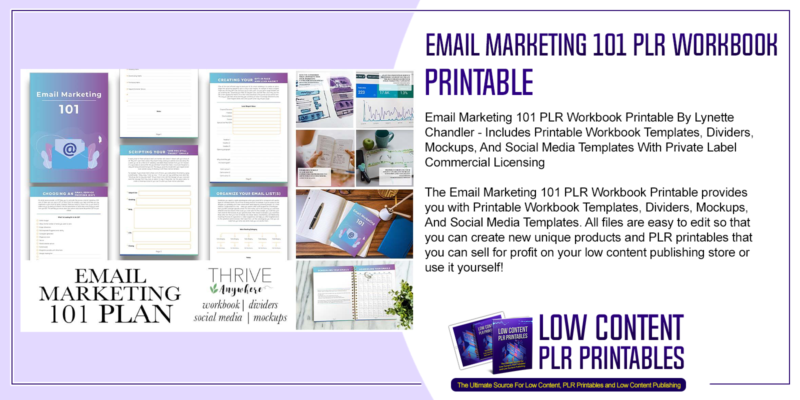 Email Marketing 101 PLR Workbook Printable