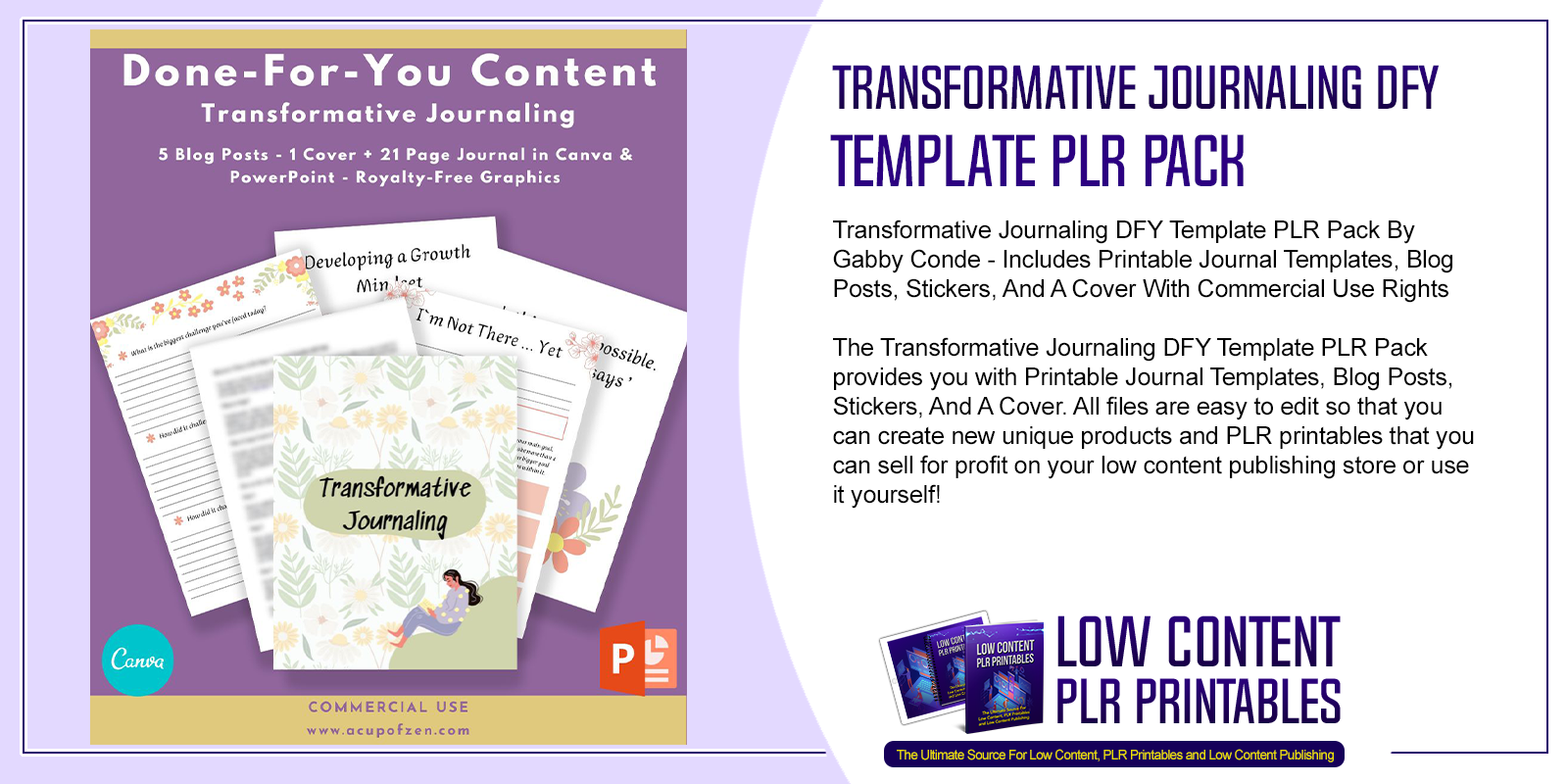 Transformative Journaling DFY Template PLR Pack