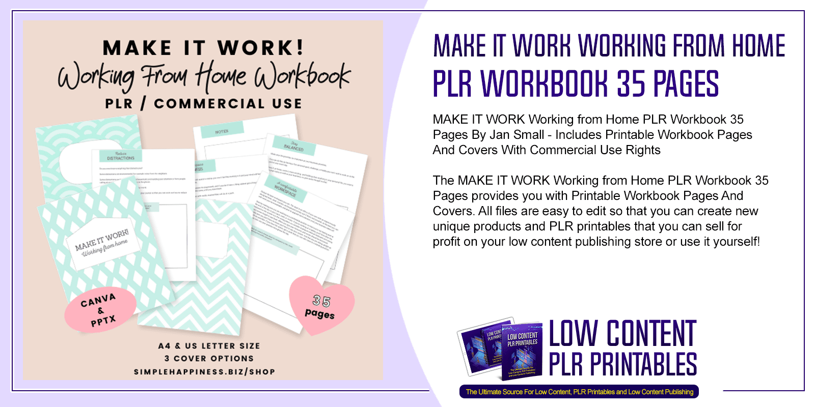 MAKE IT WORK Working from Home PLR Workbook 35 Pages