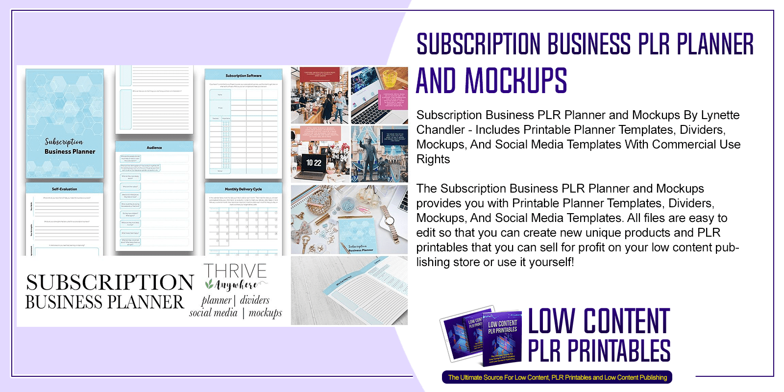 Subscription Business PLR Planner and Mockups
