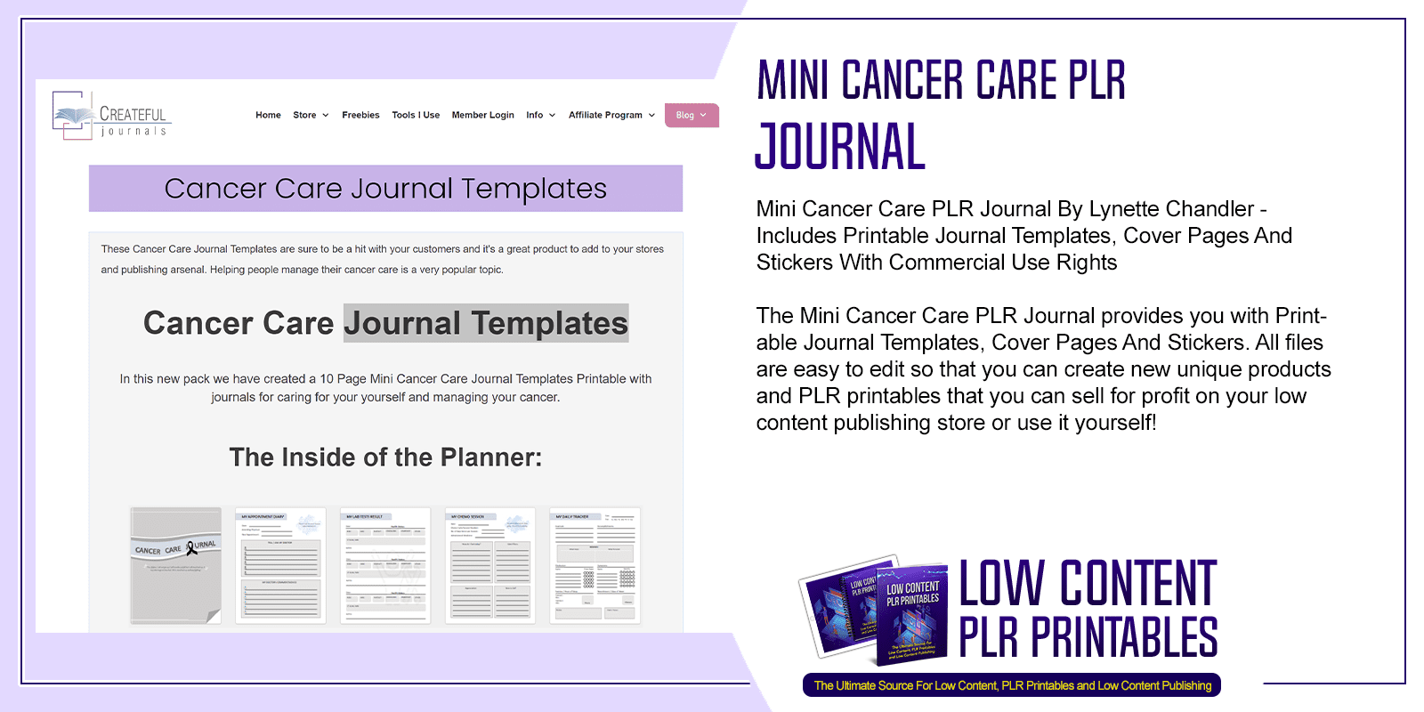 Mini Cancer Care PLR Journal