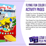 Flying Fun Color By Number PLR Activity Pages