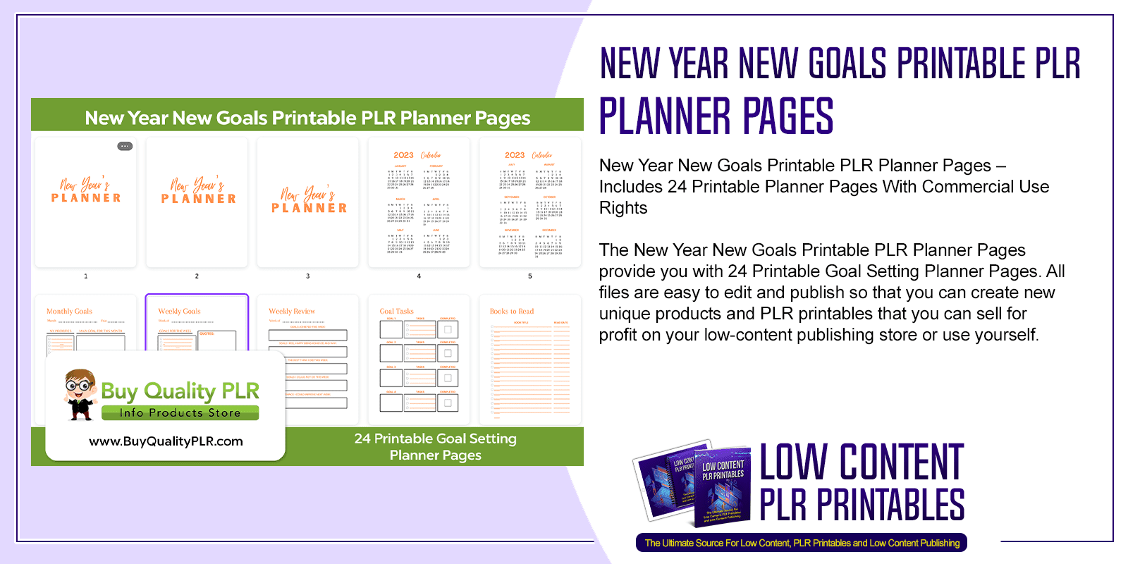 New Year New Goals Printable PLR Planner Pages