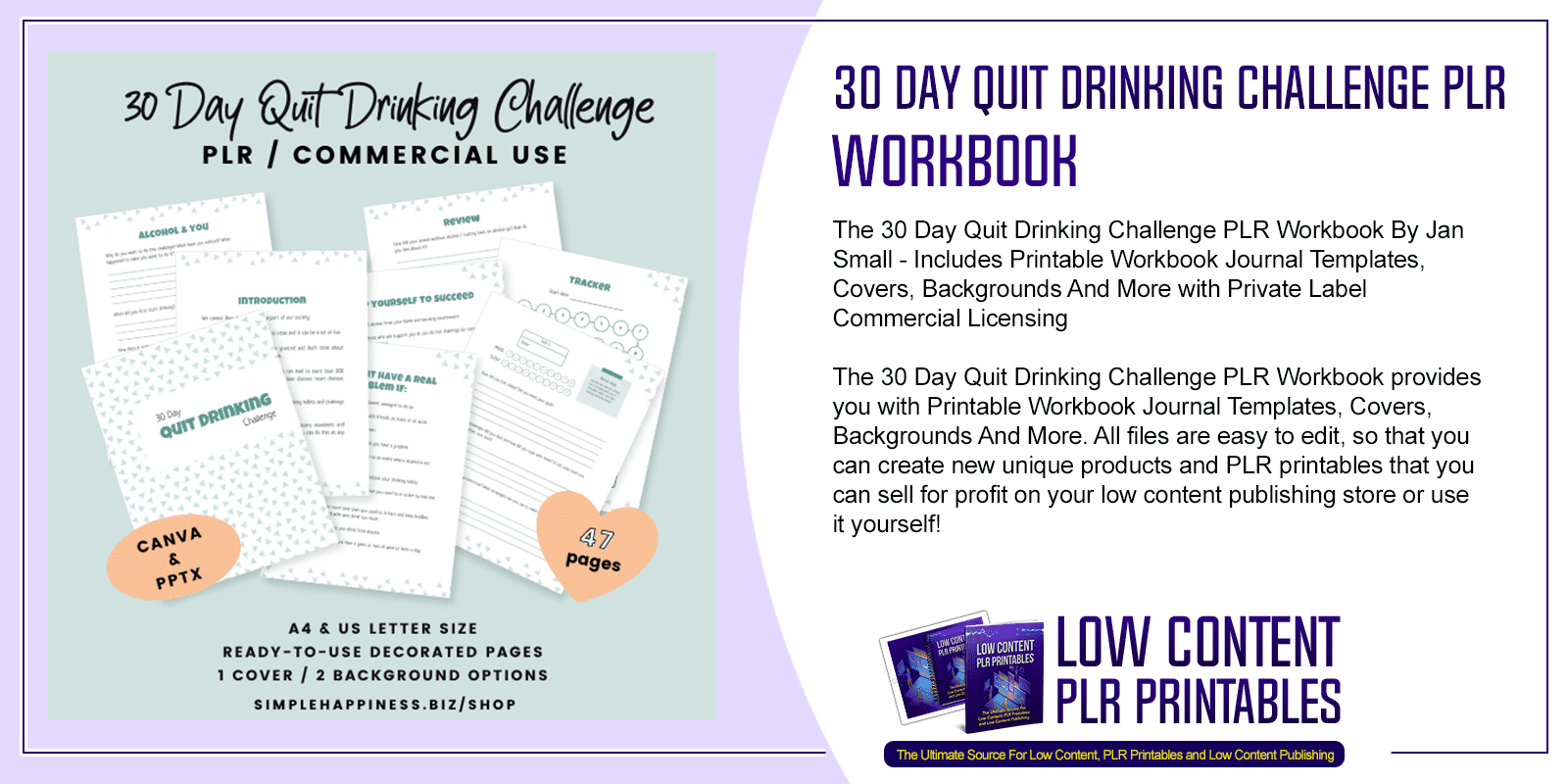 30 Day Quit Drinking Challenge PLR Workbook