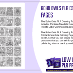 Boho Owls PLR Coloring Pages