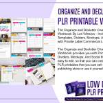Organize and Declutter Challenge PLR Printable Workbook